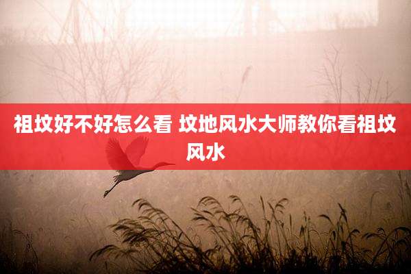 祖坟好不好怎么看 坟地风水大师教你看祖坟风水