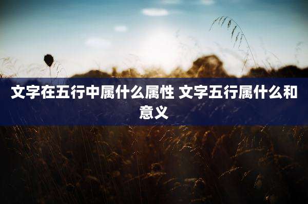 文字在五行中属什么属性 文字五行属什么和意义