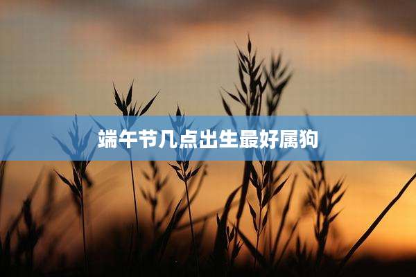端午节几点出生最好属狗
