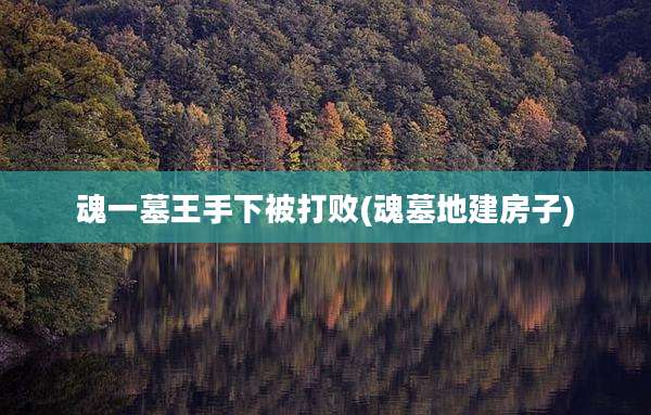 魂一墓王手下被打败(魂墓地建房子)