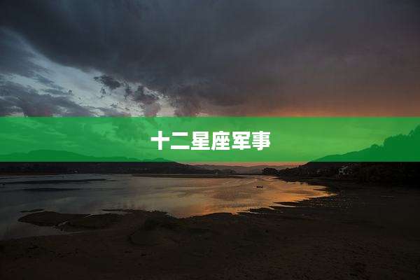十二星座军事