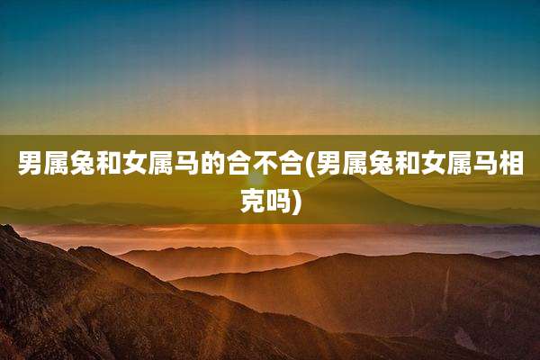 男属兔和女属马的合不合(男属兔和女属马相克吗)