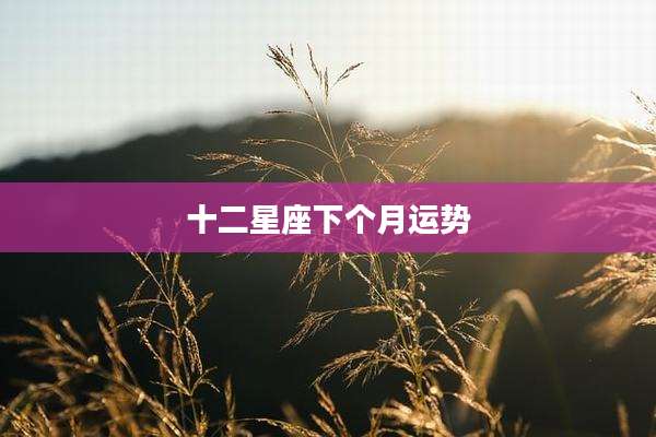 十二星座下个月运势