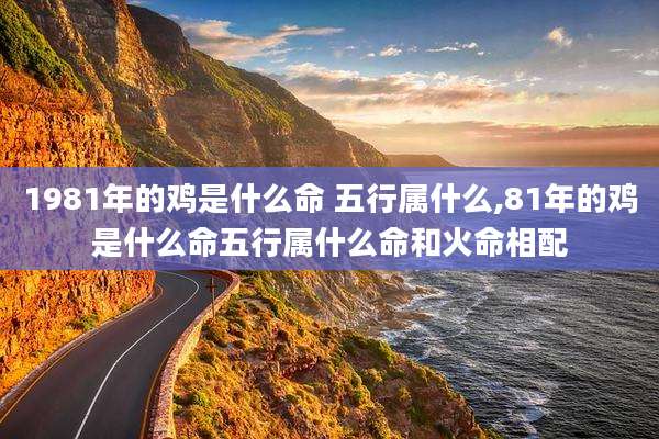1981年的鸡是什么命 五行属什么,81年的鸡是什么命五行属什么命和火命相配