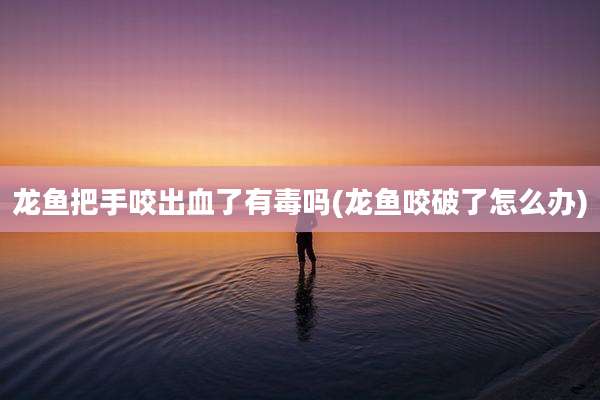 龙鱼把手咬出血了有毒吗(龙鱼咬破了怎么办)