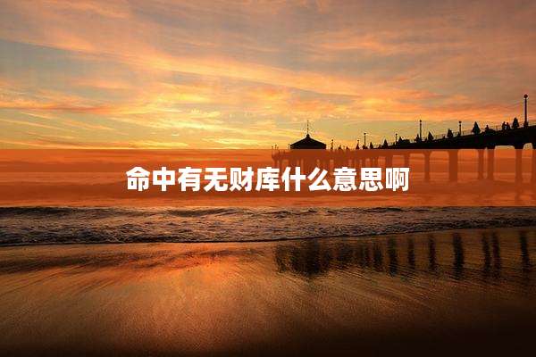 命中有无财库什么意思啊