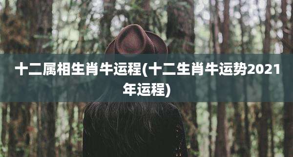 十二属相生肖牛运程(十二生肖牛运势2021年运程)