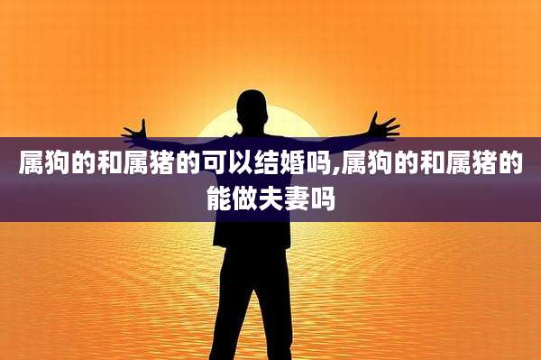 属狗的和属猪的可以结婚吗,属狗的和属猪的能做夫妻吗