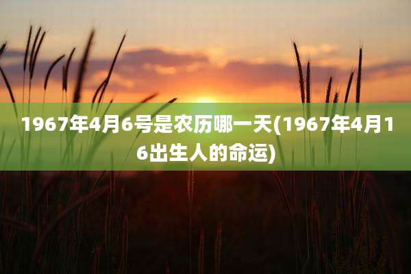 1967年4月6号是农历哪一天(1967年4月16出生人的命运)