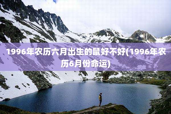1996年农历六月出生的鼠好不好(1996年农历6月份命运)