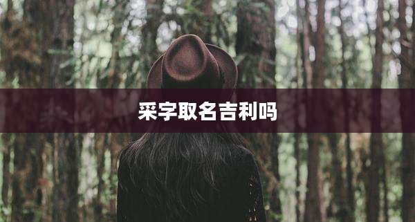采字取名吉利吗