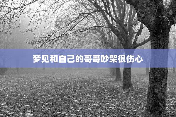 梦见和自己的哥哥吵架很伤心