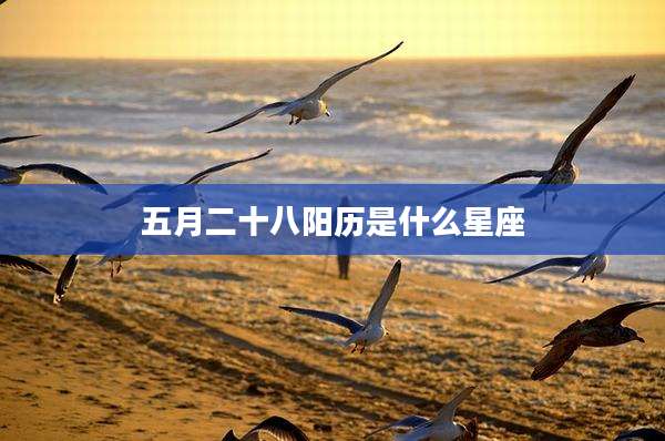五月二十八阳历是什么星座