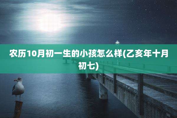 农历10月初一生的小孩怎么样(乙亥年十月初七)