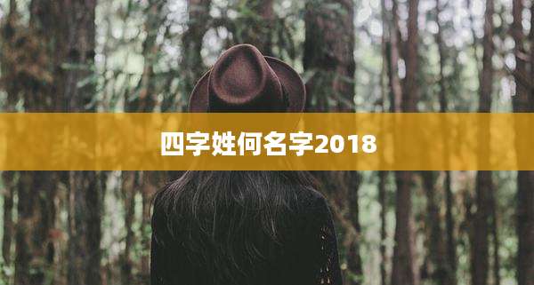 四字姓何名字2018