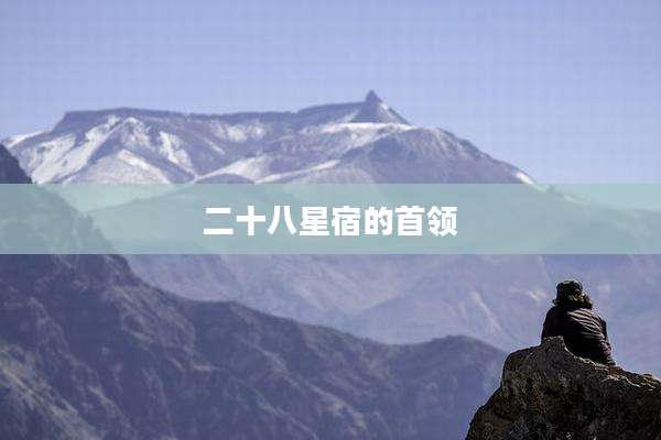 二十八星宿的首领