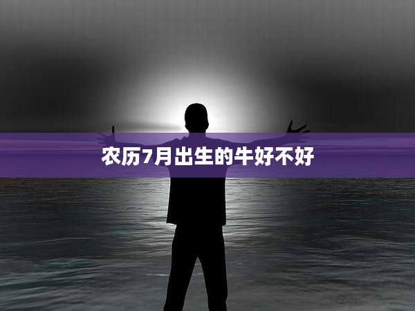 农历7月出生的牛好不好