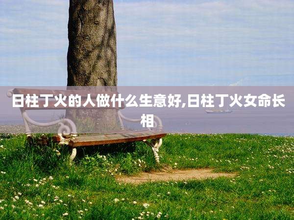 日柱丁火的人做什么生意好,日柱丁火女命长相