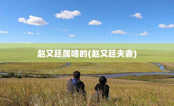 赵又廷属啥的(赵又廷夫妻)