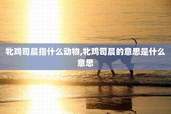 牝鸡司晨指什么动物,牝鸡司晨的意思是什么意思
