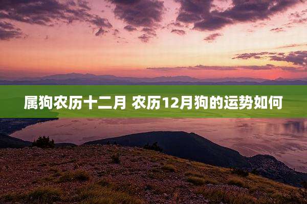 属狗农历十二月 农历12月狗的运势如何
