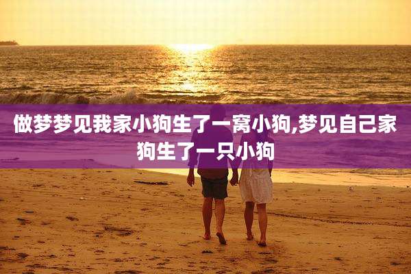 做梦梦见我家小狗生了一窝小狗,梦见自己家狗生了一只小狗