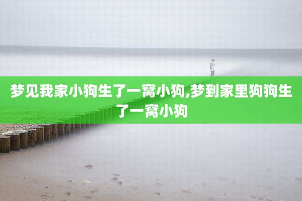 梦见我家小狗生了一窝小狗,梦到家里狗狗生了一窝小狗
