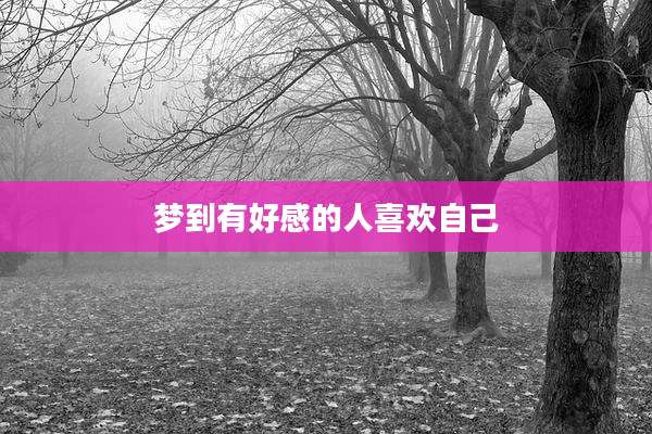 梦到有好感的人喜欢自己