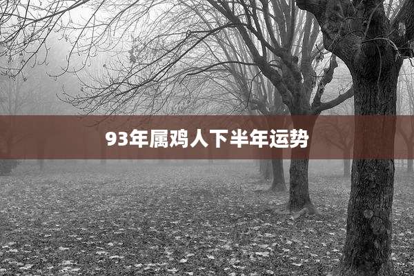 93年属鸡人下半年运势