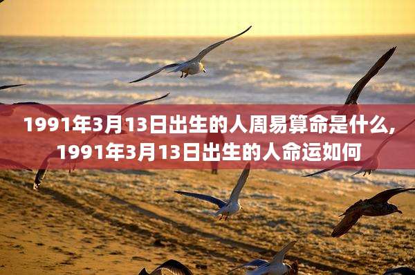 1991年3月13日出生的人周易算命是什么,1991年3月13日出生的人命运如何