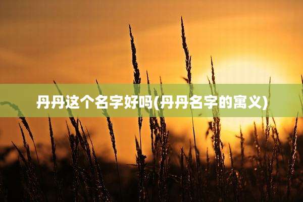 丹丹这个名字好吗(丹丹名字的寓义)