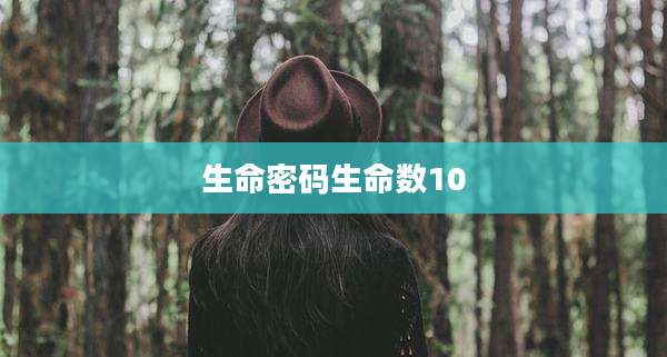 生命密码生命数10