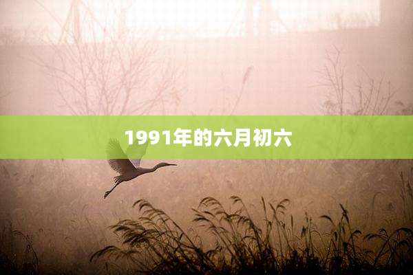 1991年的六月初六