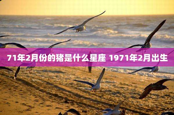 71年2月份的猪是什么星座 1971年2月出生