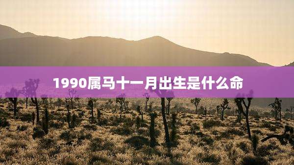 1990属马十一月出生是什么命