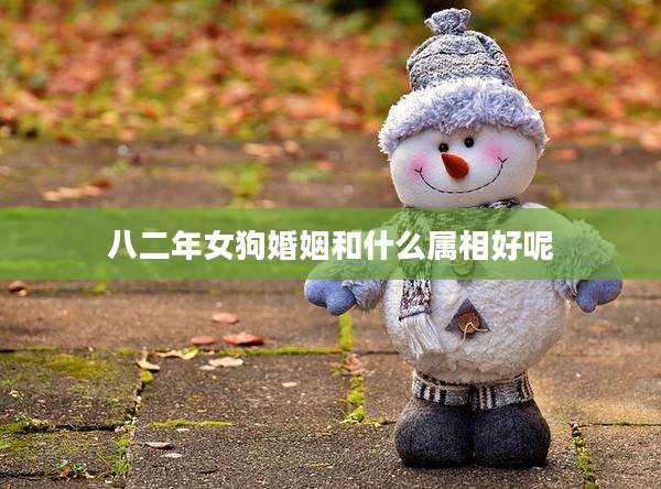 八二年女狗婚姻和什么属相好呢