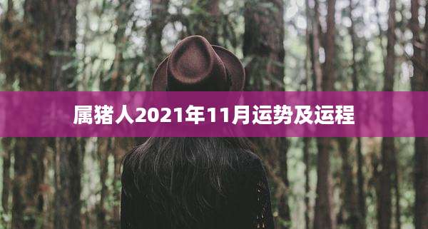 属猪人2021年11月运势及运程