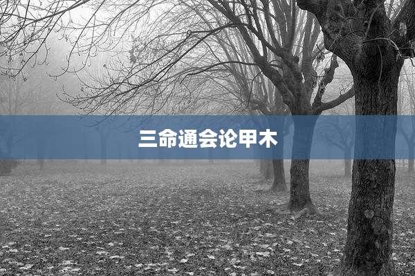 三命通会论甲木