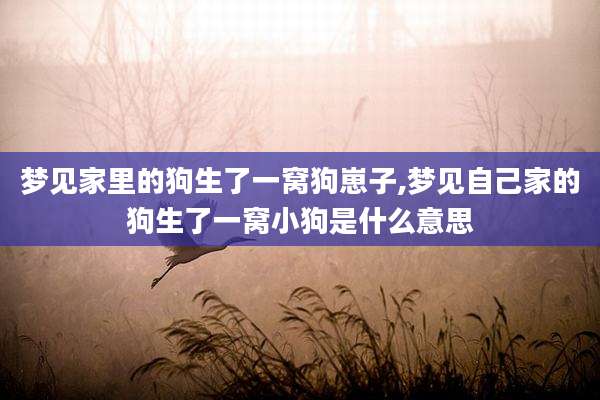 梦见家里的狗生了一窝狗崽子,梦见自己家的狗生了一窝小狗是什么意思