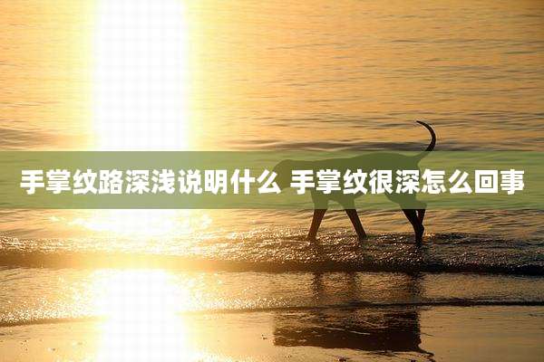 手掌纹路深浅说明什么 手掌纹很深怎么回事