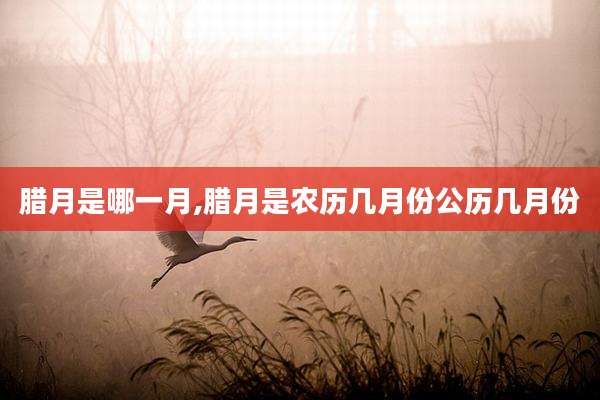 腊月是哪一月,腊月是农历几月份公历几月份