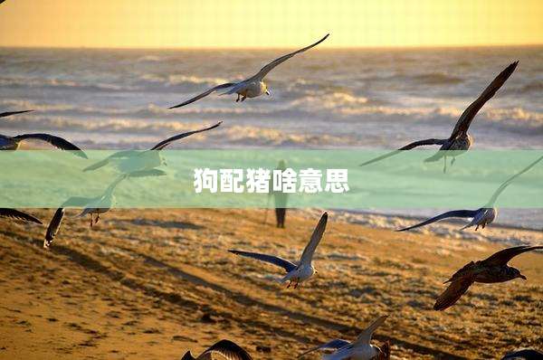 狗配猪啥意思