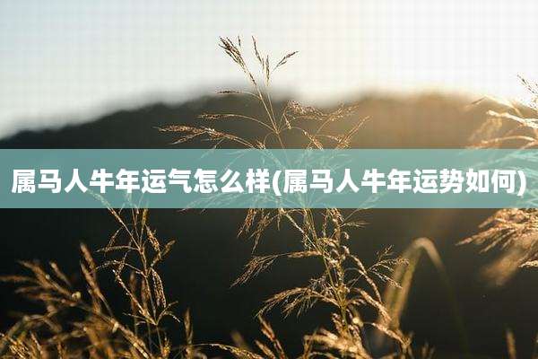 属马人牛年运气怎么样(属马人牛年运势如何)