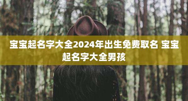 宝宝起名字大全2024年出生免费取名 宝宝起名字大全男孩