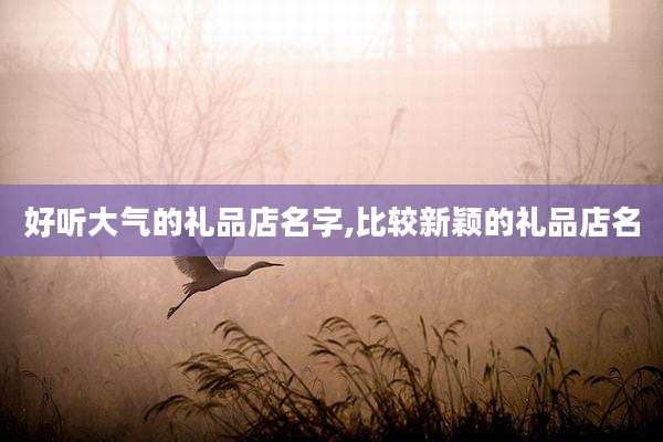 好听大气的礼品店名字,比较新颖的礼品店名