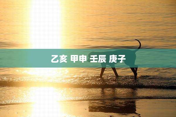 乙亥 甲申 壬辰 庚子