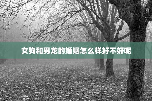 女狗和男龙的婚姻怎么样好不好呢