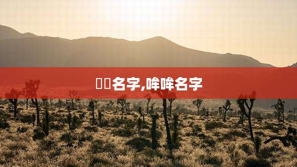 眰恦名字,哞哞名字