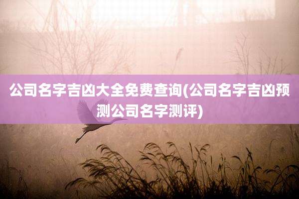 公司名字吉凶大全免费查询(公司名字吉凶预测公司名字测评)