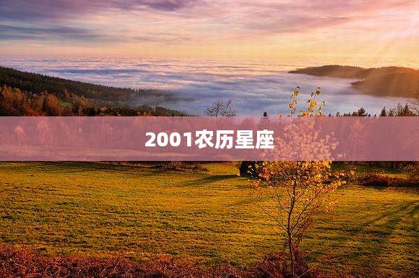 2001农历星座